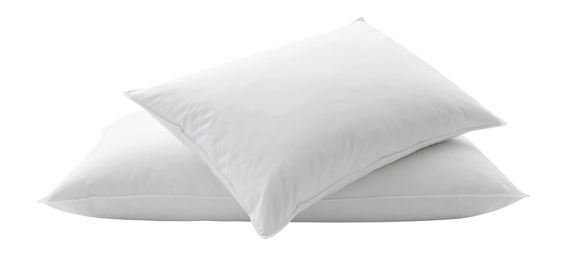 HIRSE- und DAUNENKISSEN