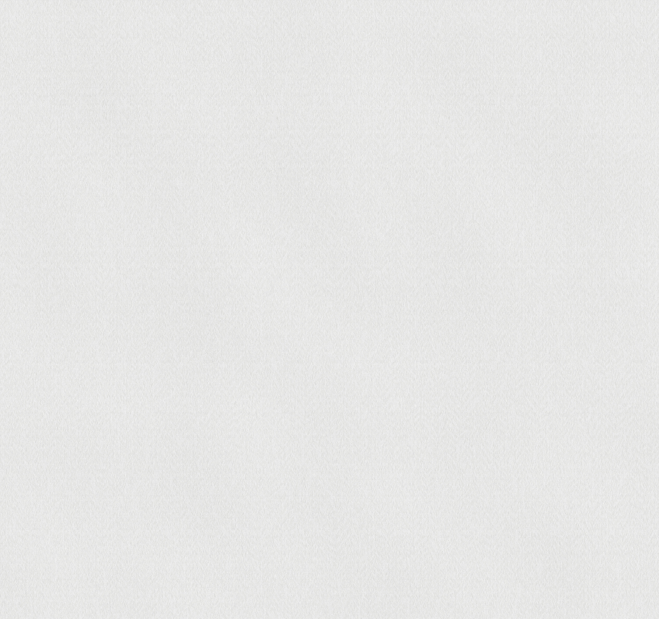 Dekokissen Farn Weiss