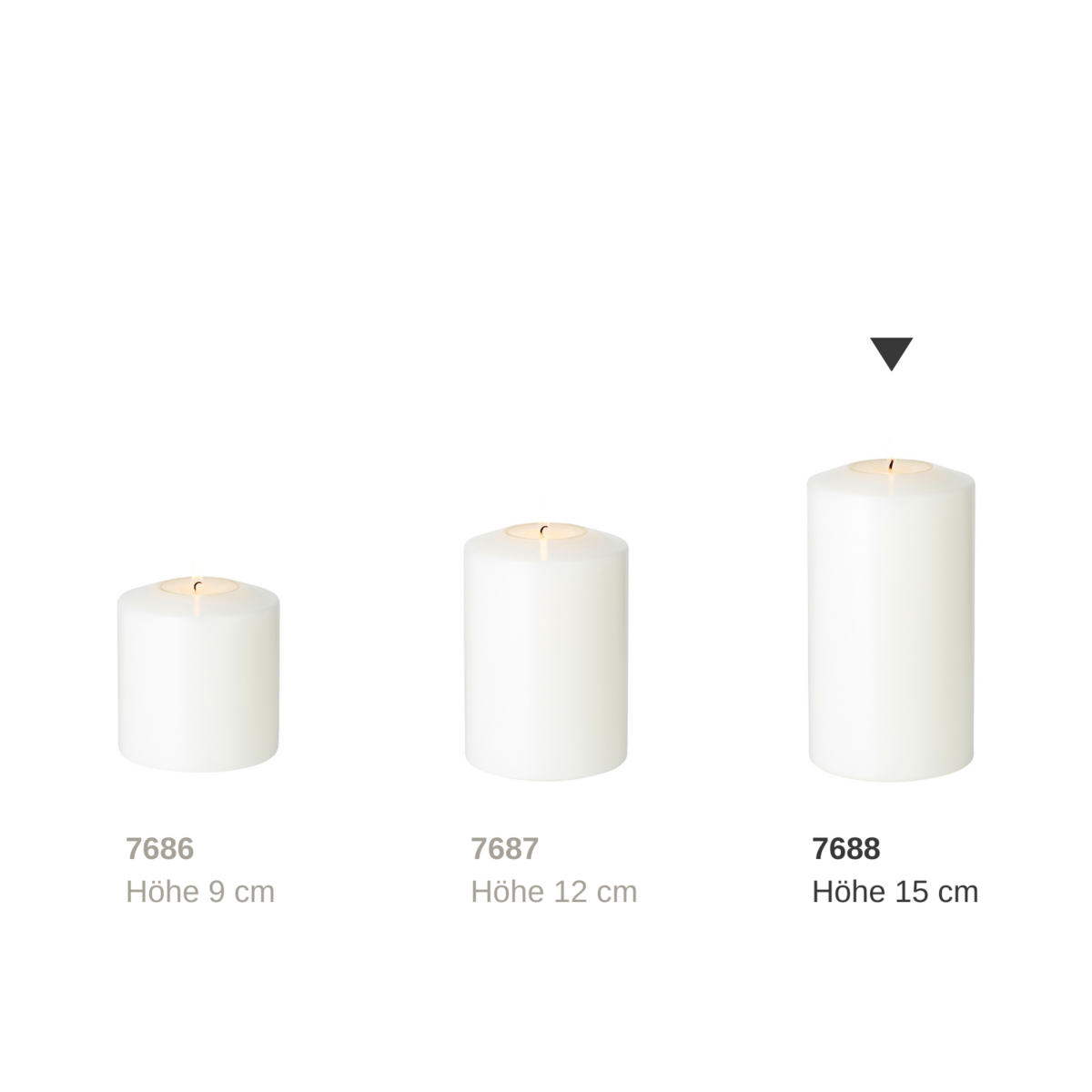 Dauerkerze Cornelius Doppel Pine H.15