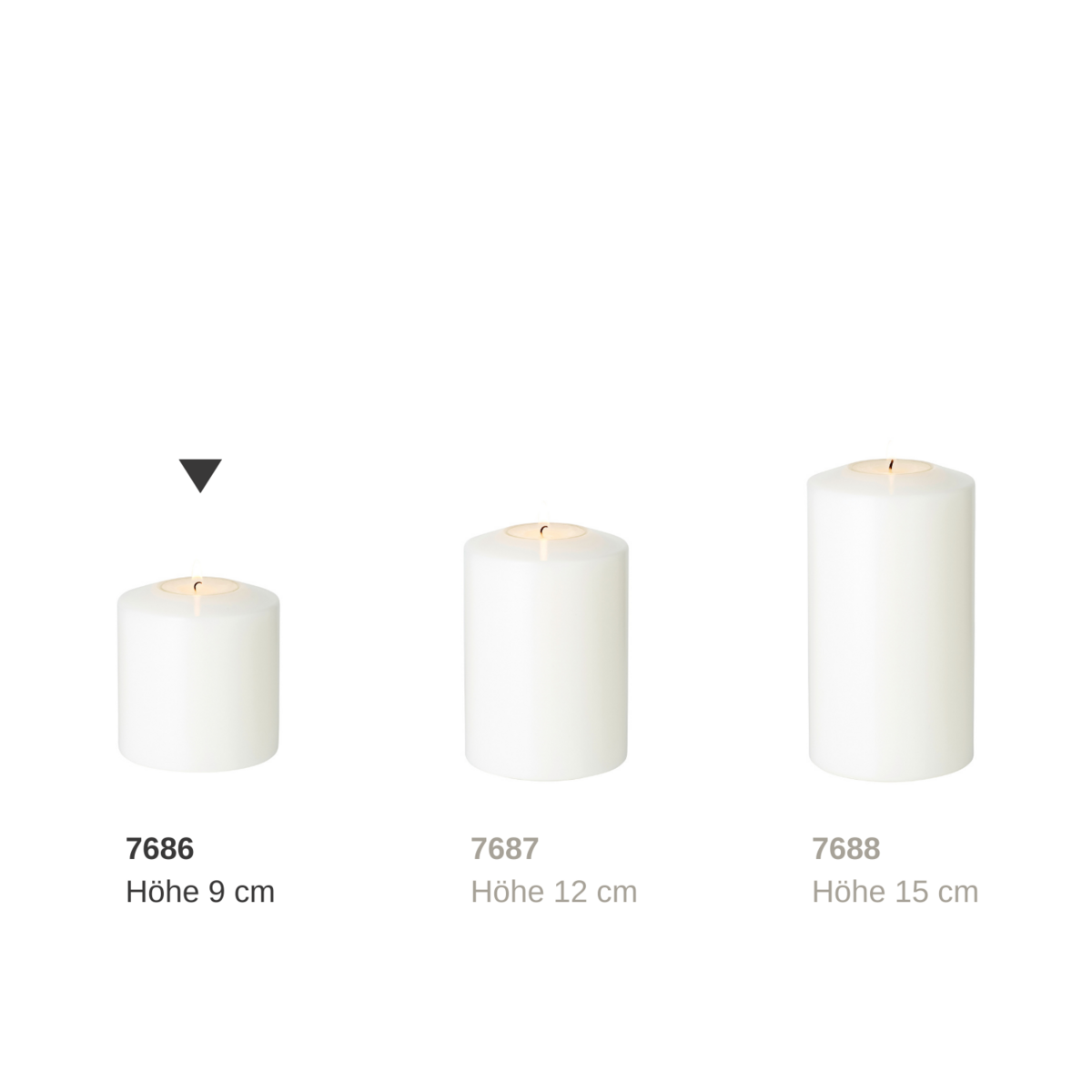 Dauerkerze Cornelius Doppel Pine H.9 cm